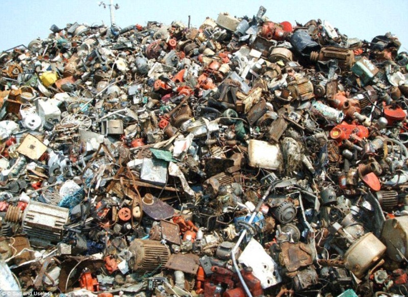 Skoraj nemogoče je opaziti mačko. Ti je uspelo?